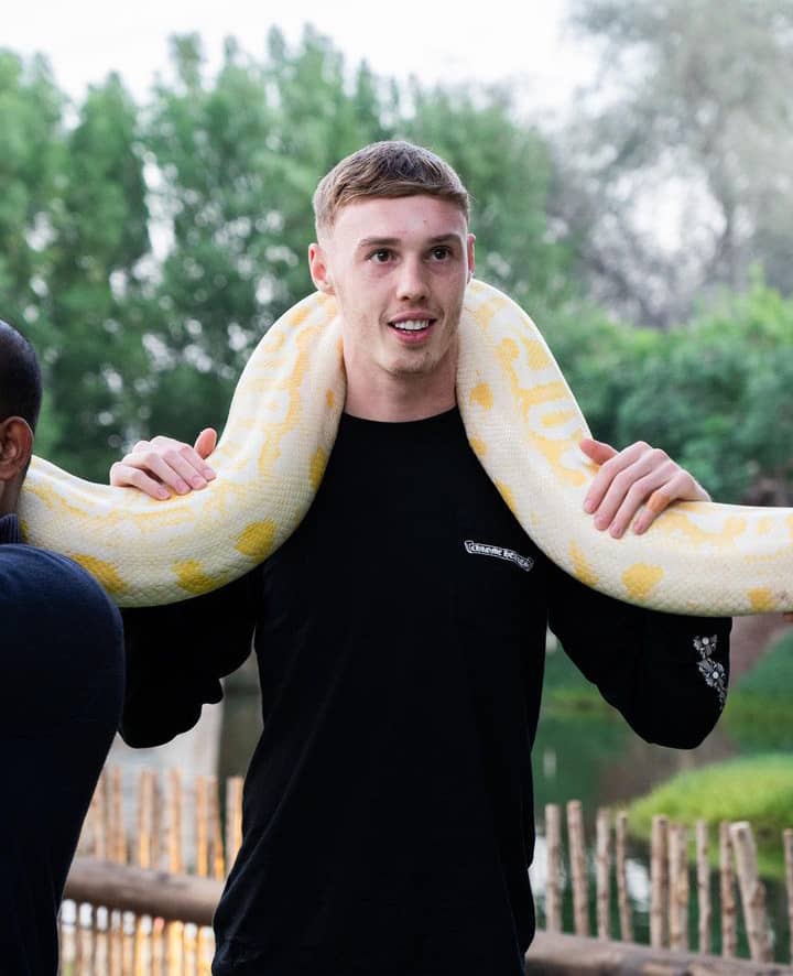 Cole Palmer Girlfriend